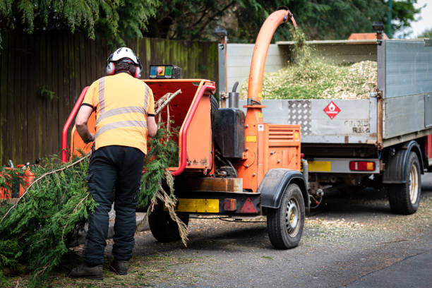 Tree Branch Trimming in Como, WI